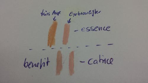 905400_525212554263055_172660523_o