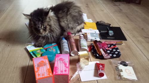 1498768_569070079877302_2277802282360424976_o